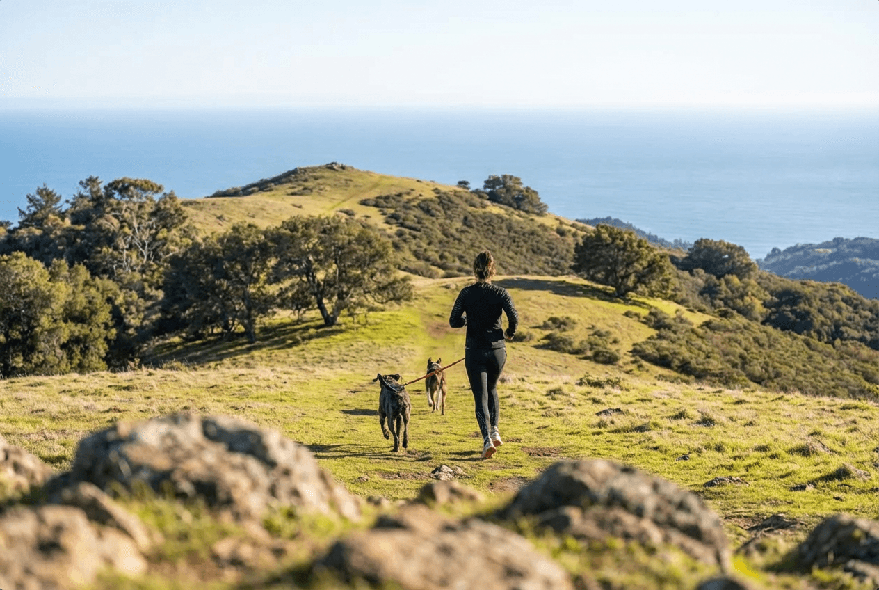 Mountain trail landscape
